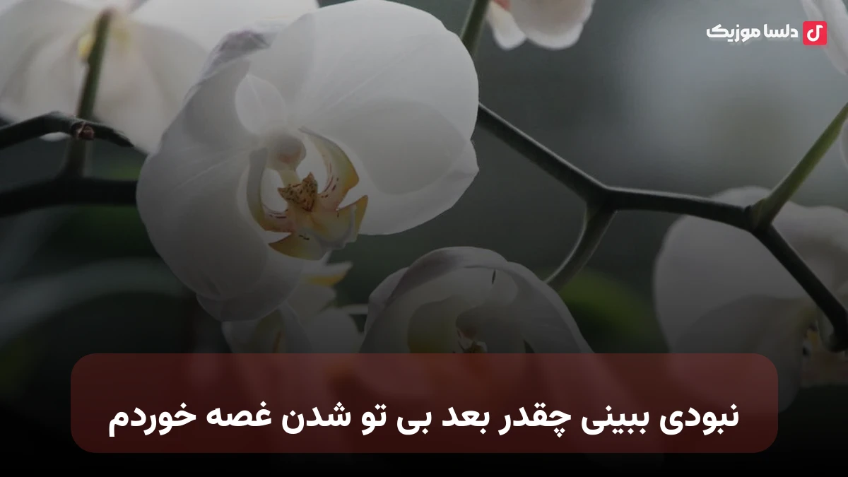 نبودی ببینی چقدر بعد بی تو شدن غصه خوردم صدای زن